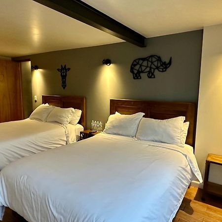 Casa Raffaello Hotel Mexico City Luaran gambar